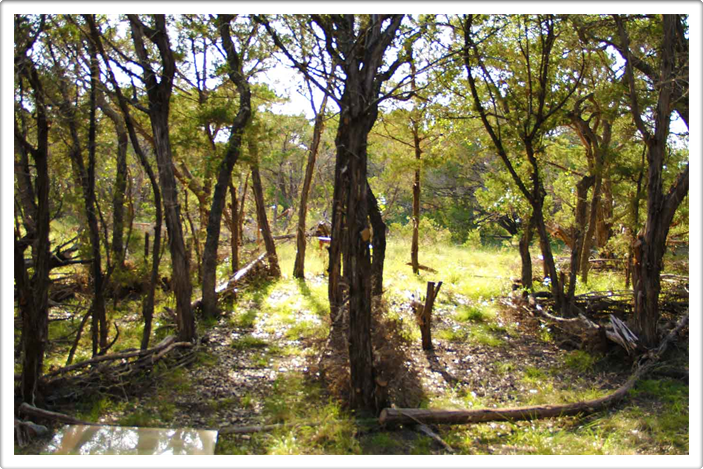 Austin Texas Landscaping Design Farm & Ranch