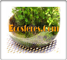 Daniel Pavon Cuellar Ecosferes